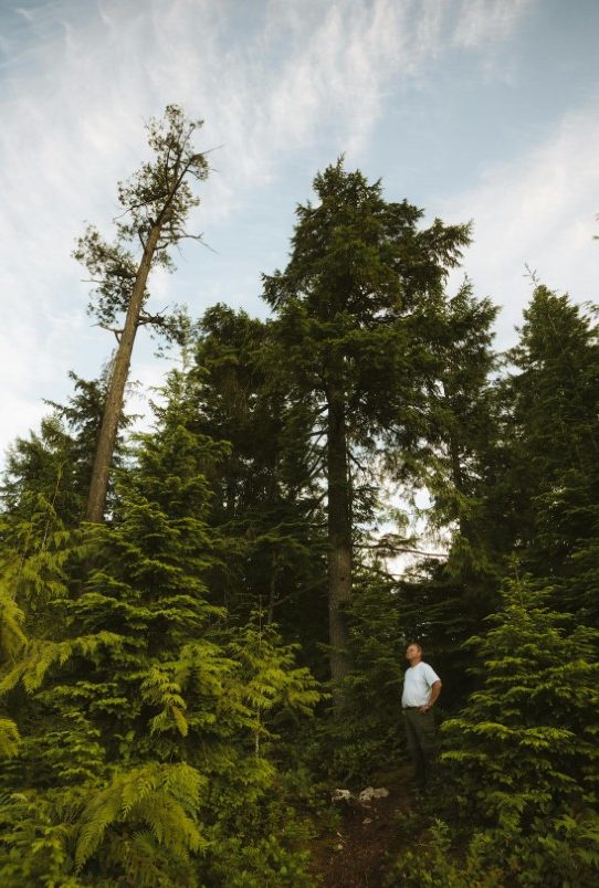 pexels-bylukemiller-27489825 (Custom)